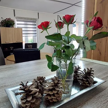 Casa Merisor Guest house Sibiu