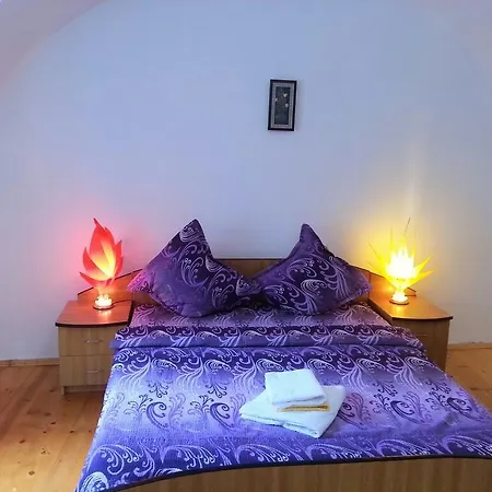 Casa Merisor Guest house 2*